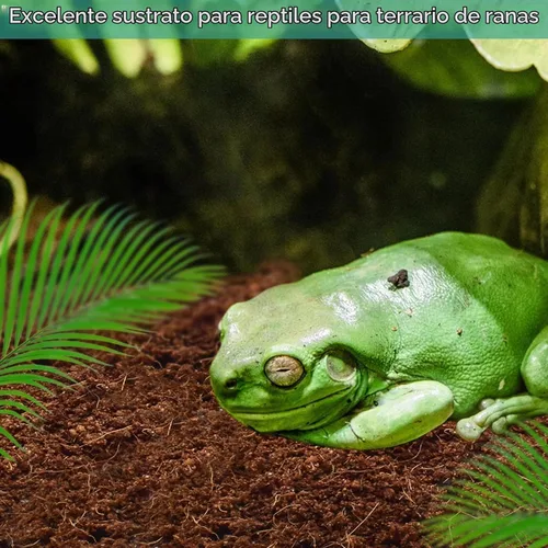 Vista 5 de Halatool - Paquete de 1 sustrato de fibra de coco comprimido para reptiles 1 Paquete
