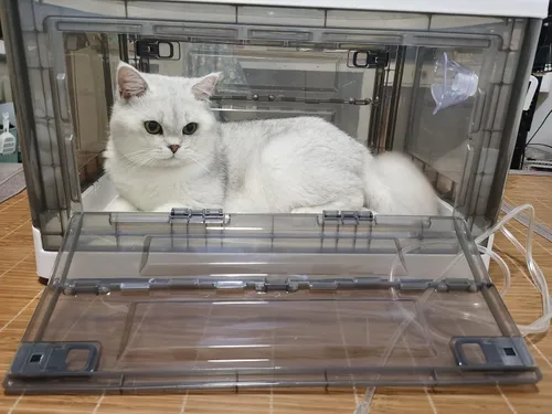 Vista 4 de Caja de nebulización, nebulizador para gatos, nebulizador para perros, incubadora de gatitos, unidad de calefacción no incluida, incubadora