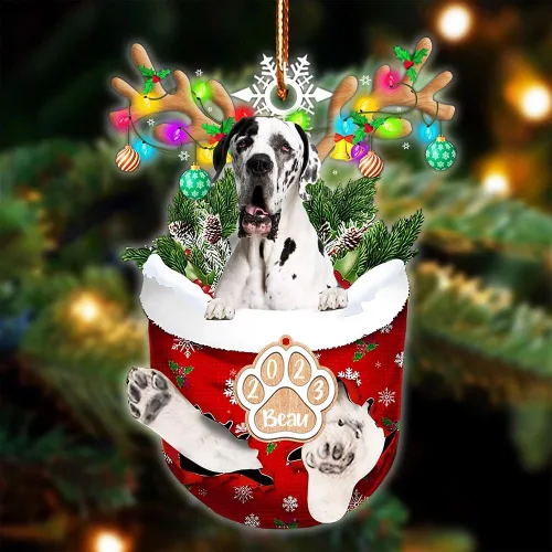 Vista 23 de NAZENTI Adorno Navideño de Bolsillo Personalizado de Affenpinscher en la Nieve, Adorno de Forma Acrílica de Perro, Adorno de Navidad 2023, Adorno