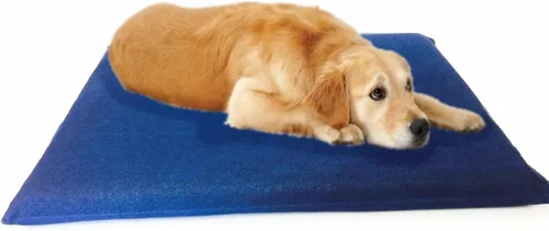 Vista 10 de Lujosa cama para perros de espuma viscoelástica con almohadilla sólida y funda interior impermeable y fundas externas para perros pequeños y Beige