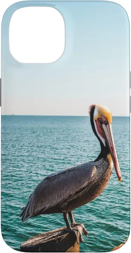 Vista 4 de iPhone 11 Pelican Case