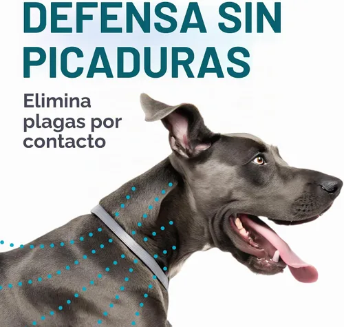 Vista 6 de TevraPet Activate II Collar antipulgas y garrapatas para perros pequeños, prevención de 12 meses, 2 unidades, se adapta a cuellos de hasta 15