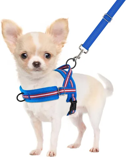 Vista 10 de SlowTon - Juego de arnés y correa para perros pequeños sin tirones, chaleco suave ajustable para cachorros para el cuello y el pecho, arnés