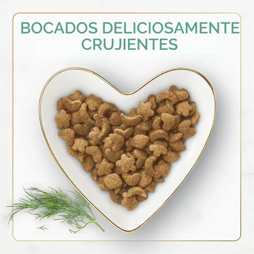 Vista 2 de Purina Fancy Feast - Alimento seco para gatos con pescado y salmón del océano (paquete de 4) bolsas de 16 onzas