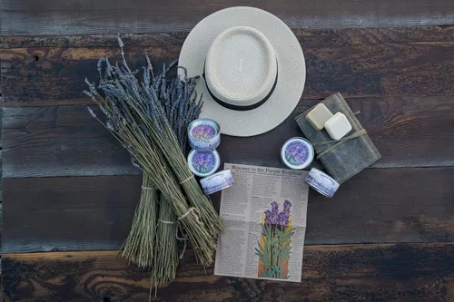 Vista 6 de Lavanda Kit de cultivo de semillas de flores The Jonsteen Company
