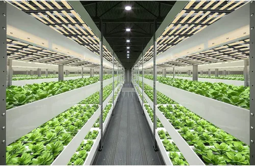Vista 6 de P1500 - Luz de crecimiento LED de espectro completo, modo Veg Bloom Daul, cadena de margaritas mejorada para plantas de interior, lámparas