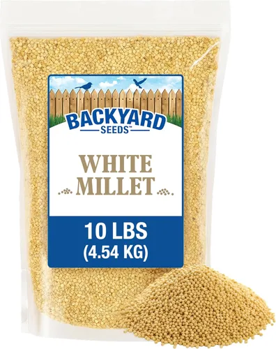 Vista 22 de CountryMax Backyard Seeds Semillas de Girasol de Aceite Negro (10 libras)