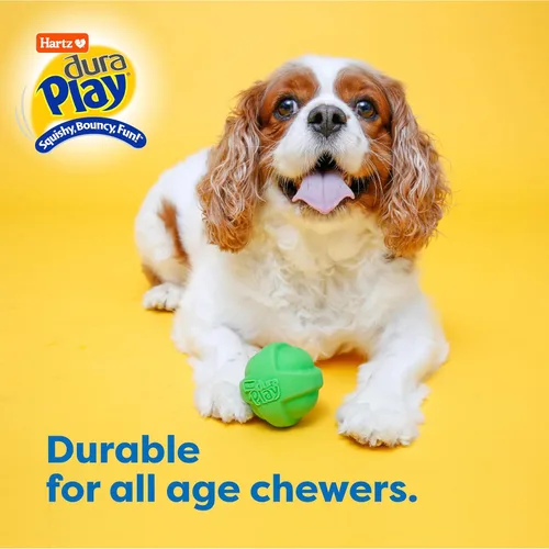 Vista 5 de Hartz DuraPlay - Juguetes perfumados para perros con aroma a tocino, tamaño pequeño (varios colores)