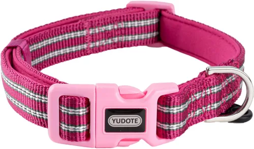 Vista 19 de Collar de nailon reflectante para perro con acolchado de neopreno suave y cómodo, ajustable para perros pequeños (cuello de 9.8 a 15 pulgadas, azul)