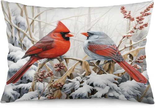 Vista 33 de Fundas de cojín decorativas para cama, diseño de pueblo de invierno, escena de invierno, con una casa victoriana en un entorno nevado, fundas