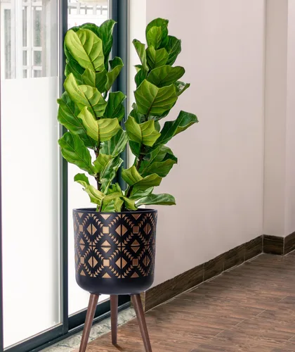 Vista 6 de D'vine Dev Maceta de 12 pulgadas con soporte, maceta alta de mediados de siglo con patas para plantas de interior, bronce/negro, 88-G-C-6