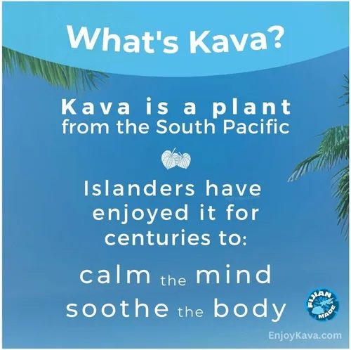 Vista 4 de FIJI'S #1 AAA Grado Waka Kava Root Powder - 1 libra Polvo de Kava 100% noble Hecho de raíces puras de kava Fijian Kava Fiji'sKava.com