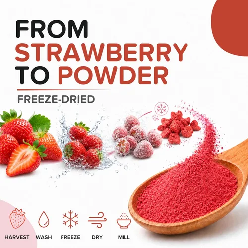 Vista 8 de Polvo de fresa liofilizado orgánico de fresas orgánicas liofilizadas – Rico en fibra, para batidos, hornear y colorante natural de alimentos rosa