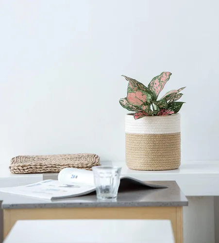 Vista 2 de Dahey - Cesta tejida pequeña de cuerda de algodón para plantas, cesta enrollada para macetas de hasta 7 pulgadas, cesta decorativa para cubrir