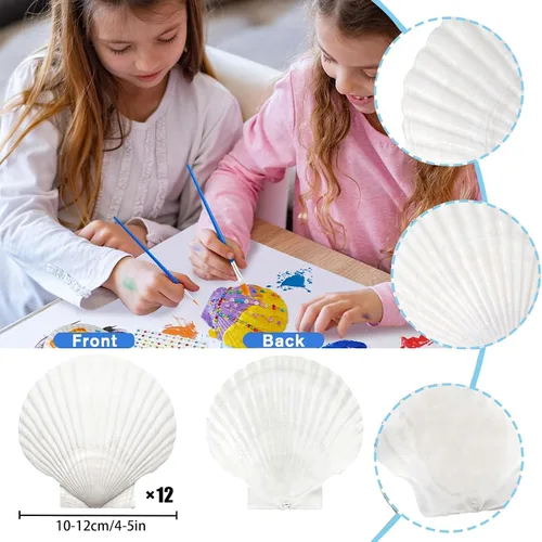 Vista 2 de 12 conchas de vieira naturales grandes de 4 a 5 pulgadas, conchas marinas blancas para manualidades, pintura a mano, fiestas temáticas oceánicas