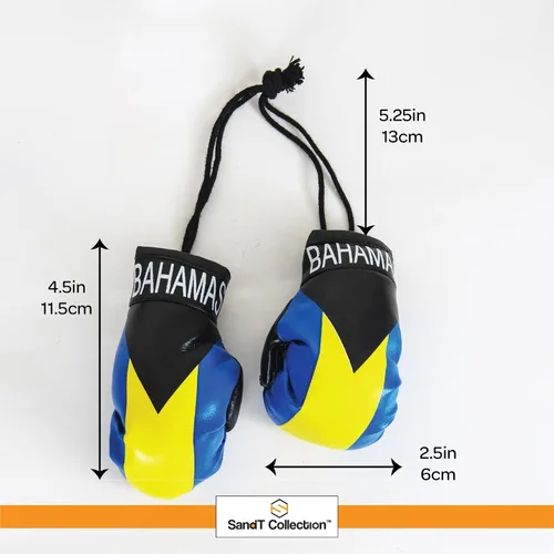 Vista 5 de SandT Collection Guantes de boxeo pequeños con bandera del país - Guantes de boxeo para colgar