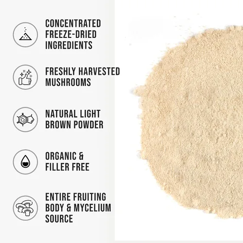 Vista 3 de Polvo orgánico de hongo de melena de león en polvo para cuerpo fructífero, superalimento liofilizado, polisacáridos naturales sin sabor