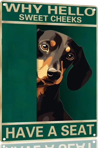 Vista 35 de Labrador Retriever - Letrero de metal con texto en inglés "Why Hello Sweet Cheeks Have A Seeks Have A Seeks" (1683)