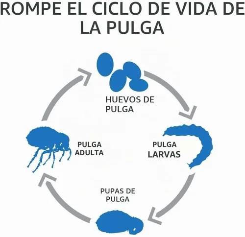 Vista 3 de Tópico anti pulgas y garrapatas para perros Sentry Fiproguard., 3 meses