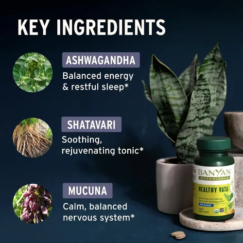 Vista 2 de Banyan Botanicals Vata saludable orgánico – Suplemento de puesta a tierra y estabilidad – con Ashwagandha, Shatavari y Mucuna – Apoyo natural