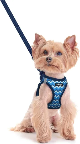Vista 80 de rabbitgoo Arnés para perro de tamaño pequeño y juego de correa, chaleco Cachorros de manzana