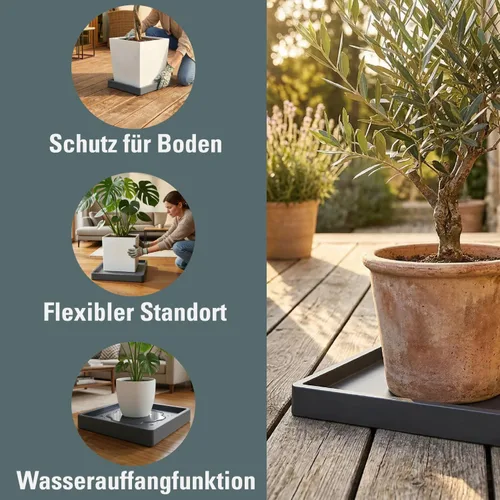 Vista 4 de Prosperplast Mobile Saucer Square Roller Base Flower Pot Saucer with Wheels Plant Roller 360 Degree Rotatable Square