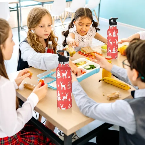Vista 6 de Merry Christmas White Snowflakes Elk Leakproof and BPA Free Kids' Metal Water Bottle with Straw Lid Double Wall Vacuum Insulated Bottles for Travel