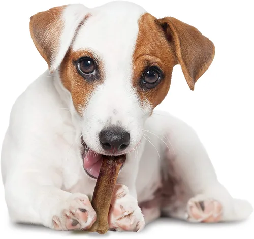 Vista 9 de Nylabone Healthy Edibles Natural Dog Chews - Golosinas masticables de larga duración con sabor a tocino para perros, pequeños/regulares (1 unidad)