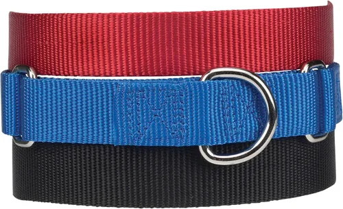 Vista 2 de Guardian Gear Collar de perro martingala de nailon, se adapta a cuellos de 10 a 16 pulgadas, color negro