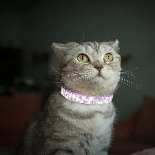 Vista 6 de Collar de perro con diamantes de imitación, de terciopelo suave, de cuero para gato, lindo collar de lujo con tachuelas de diamante, collar