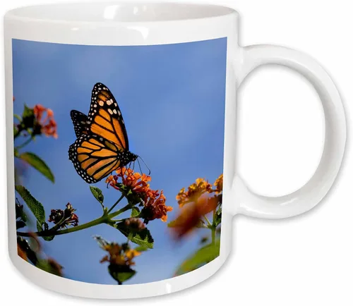 Vista 11 de 3dRose USA, California. Monarch butterfly on lantana flower. 15oz Two-Tone Black Mug