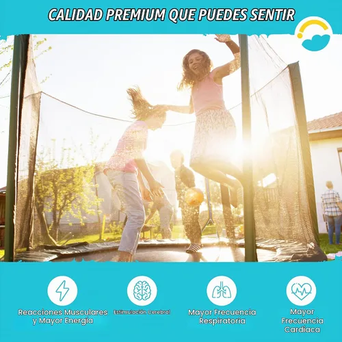Vista 7 de SkyBound Tapete de repuesto para cama elástica para cama elástica, se adapta a marcos de 15 pies con herramienta de resorte y anillos en V