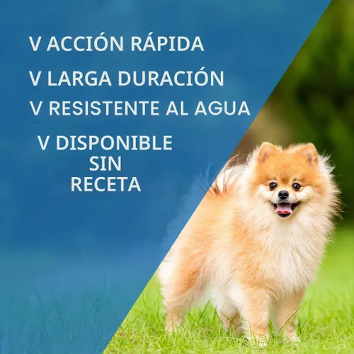 Vista 2 de Tópico anti pulgas y garrapatas para perros Sentry Fiproguard., 3 meses