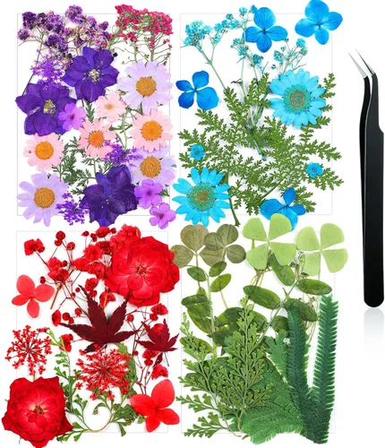 Vista 25 de Nuanchu Flores secas prensadas negras para manualidades, flores secas góticas, flores silvestres prensadas naturales a granel con pinzas para molde