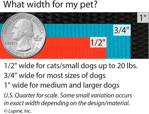 Vista 3 de Collar antipulgas ajustable para perros pequeños y grandes LupinePet de 1 pulgada, Negro