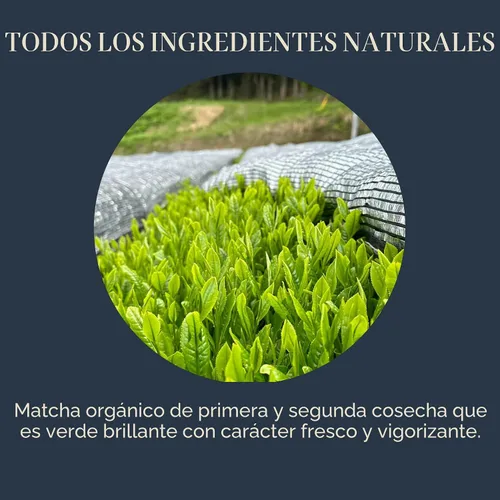 Vista 3 de Rishi Tea Everyday Matcha - Polvo de té verde matcha orgánico japonés diario para bebidas matcha de calidad de café, caliente o helado, lata de 1.05