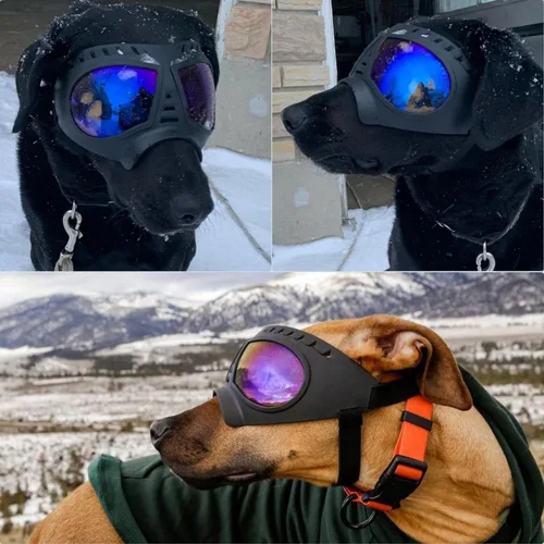 Vista 8 de Gafas grandes para perros con protección para ojos de mascotas para razas medianas a grandes, resistentes al viento, a prueba de nieve, a prueba