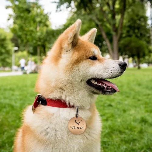 Vista 5 de Etiquetas de perro grabadas para mascotas, etiquetas de nombre de perro personalizadas, etiquetas de identificación para perros pequeños, etiquetas