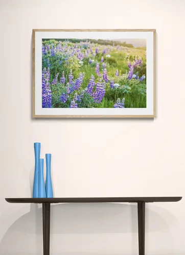 Vista 3 de Púrpura Flores Silvestres Impresión Sin Marco Naturaleza Fotografía Arte Floral Columbia Río Garganta Flores Pacífico Noroeste Foto