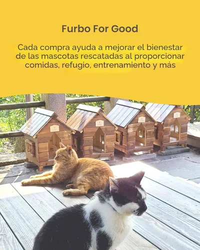 Vista 8 de Furbo 360° Cámara para Gatos: Cámara de Seguridad para Mascotas con Alertas de Miauidos, Vista Rotatoria, Lanzamiento de Golosinas con Aplicación