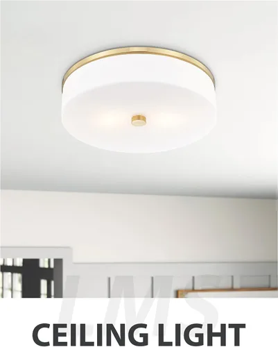 Vista 8 de LMS Lámpara de techo empotrada, moderna lámpara de techo de baño dorada cepillada con tambor blanco lechoso pantalla acrílica para cocina, sala