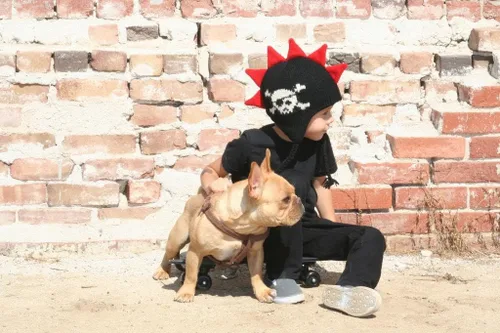 Vista 2 de Born to Love Sombrero Mohawk para niño con espigas de calavera