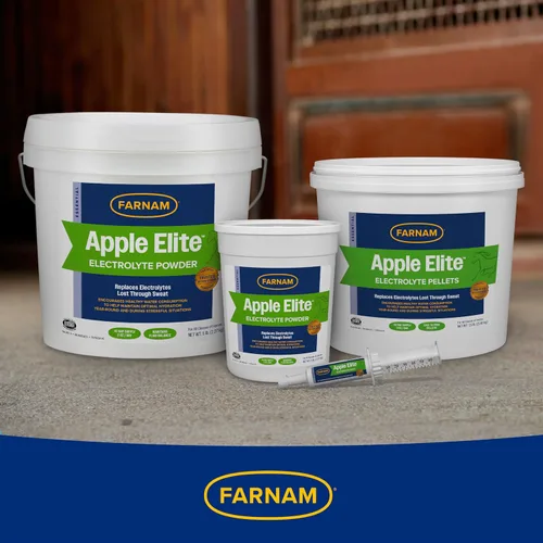 Vista 11 de Farnam Suplemento de electrolitos en polvo Apple Elite para caballos, reemplaza minerales vitales, fomenta la hidratación, sin azúcar añadida, 5