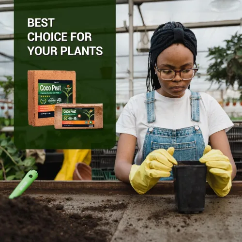 Vista 2 de Coco Coir (22.93 oz, 5+1 ladrillos) - Ladrillos de coco comprimido con bajo equilibrio de EC y pH - Fibra de coco de alta expansión para hierbas