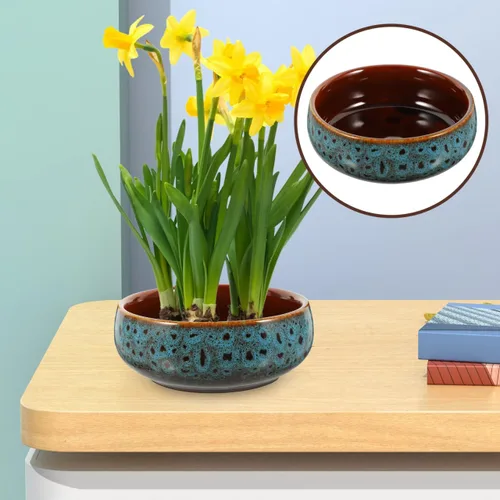 Vista 9 de DOITOOL Maceta de cerámica de loto, maceta hidropónica de lirio de agua de 6.29 pulgadas, recipiente esmaltado para interior y exterior, jardín