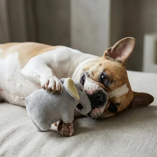 Vista 3 de Juguete de peluche prémium para perro, elefante de peluche, pequeño respetuoso con el medio ambiente 100% plástico reciclado, juguete lindo
