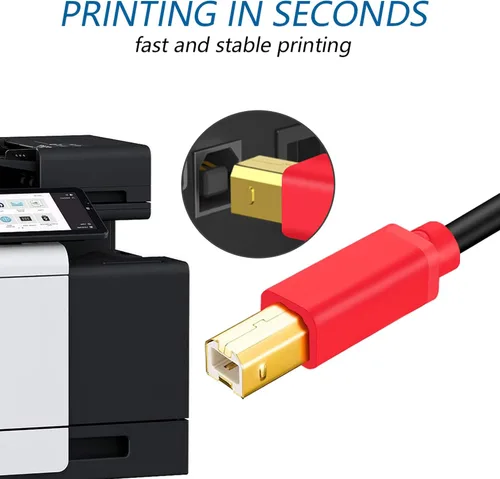 Vista 6 de Tan QY Cable de impresora de 10 pies, USB 2.0 de alta velocidad chapado en oro, cable de escáner de impresora A macho a B macho para HP, Canon