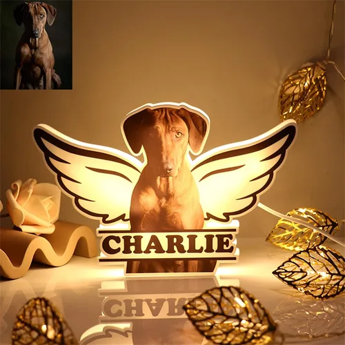 Vista 14 de Luz nocturna acrílica personalizada con foto de mascota, lámpara acrílica personalizada con nombre de perro, lámpara de hueso de foto de perro