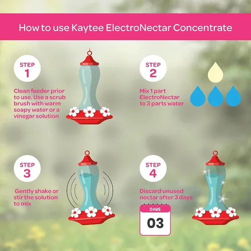 Vista 5 de Kaytee Hummingbird ElectroNectar - Alimento para aves silvestres, concentrado de 16 onzas, paquete de 2 unidades, hace 128 onzas de ElectroNectar