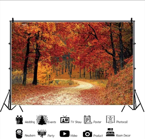 Vista 2 de Leyiyi Telón de fondo de bosque de otoño de 5 x 3 pies, árboles de arce rojo, camino de montaña, paisaje caducifolio, Acción de Gracias, fotografía